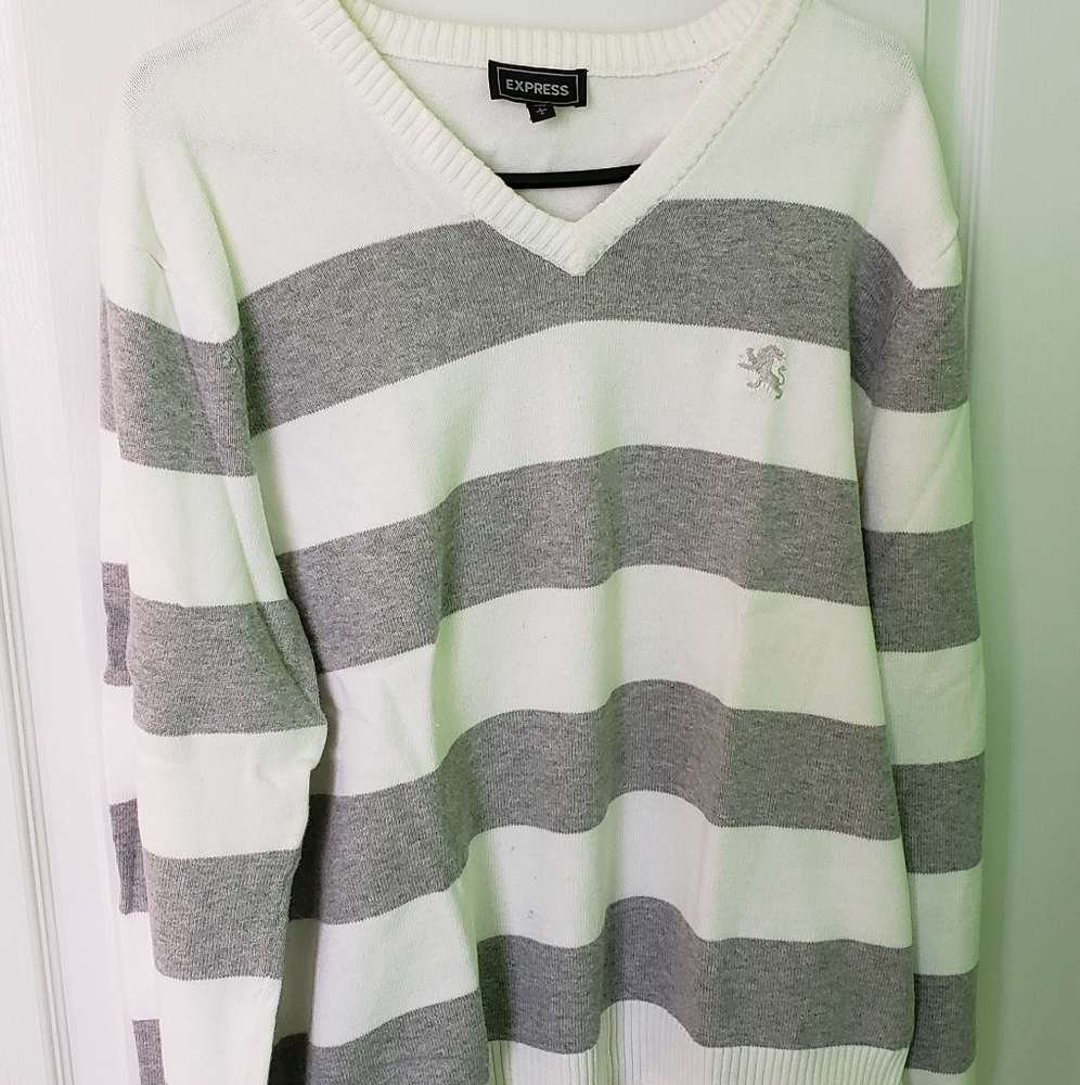 V-neck sweater by Express